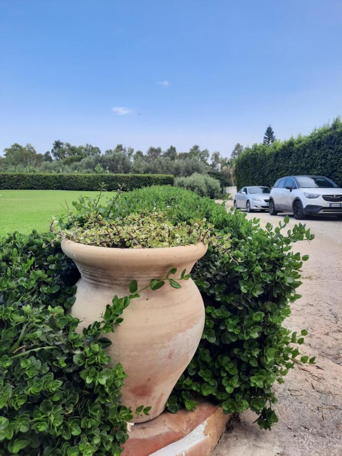 Villa Nina Fontane Bianche Zewnętrze zdjęcie